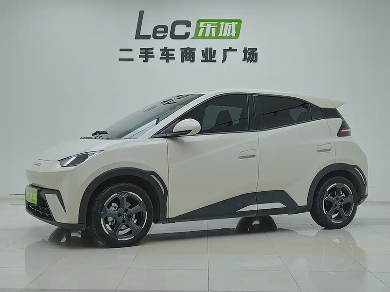 BYD Seagull