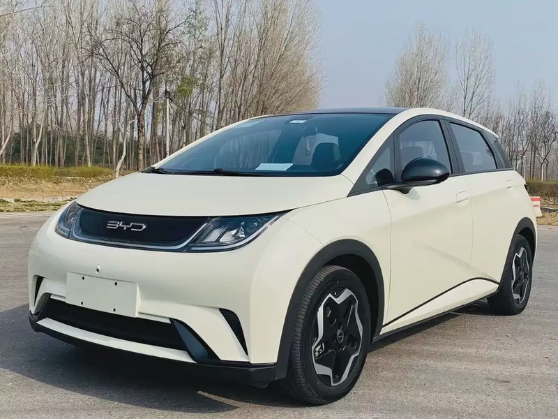 BYD Dolphin