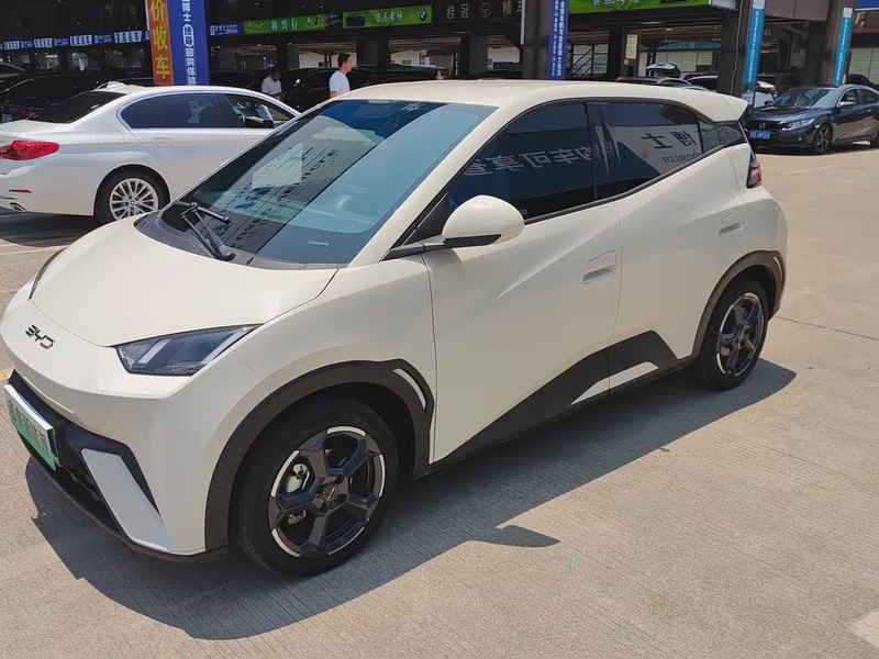 BYD Seagull