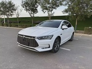 BYD Qin Pro 2019