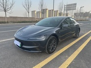 Tesla Model 3 2025