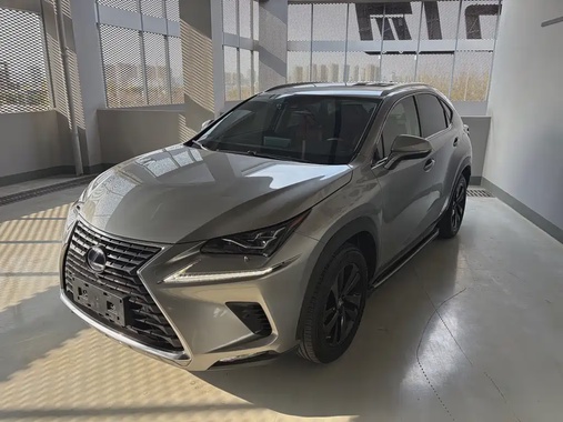 Lexus NX 2019