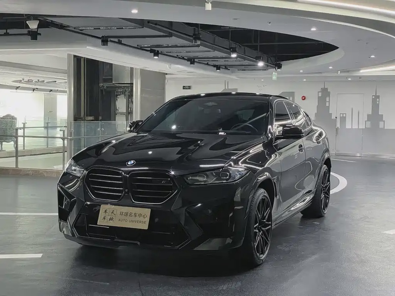 BMW X6M