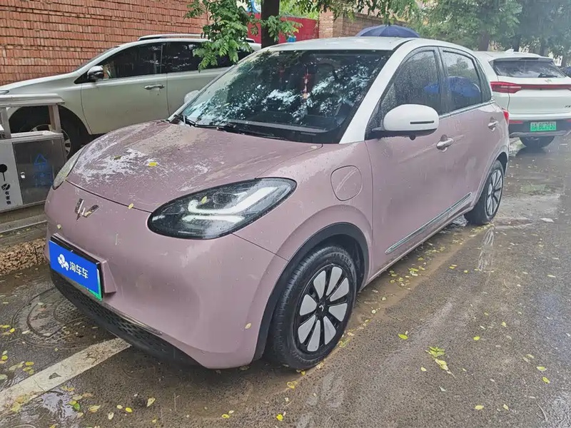 Wuling Bingo