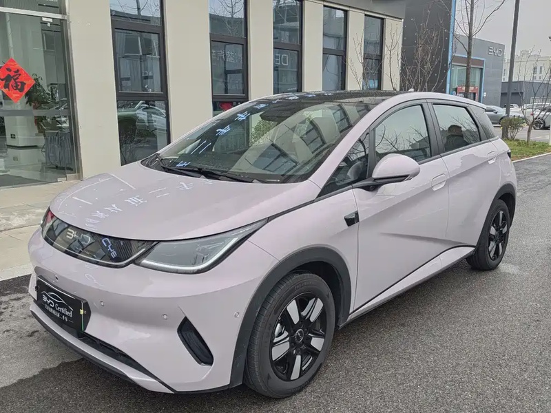 BYD Dolphin