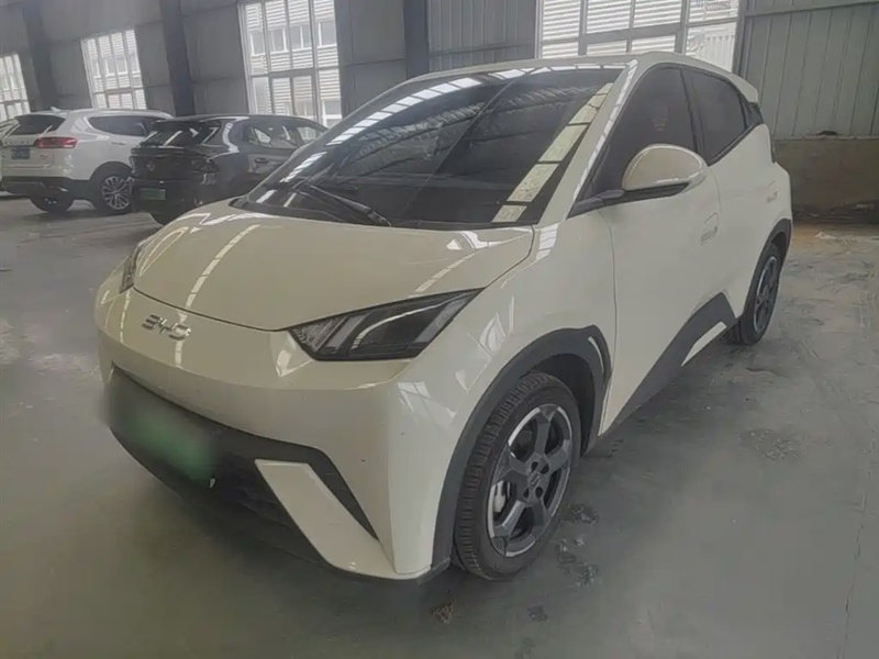BYD Seagull