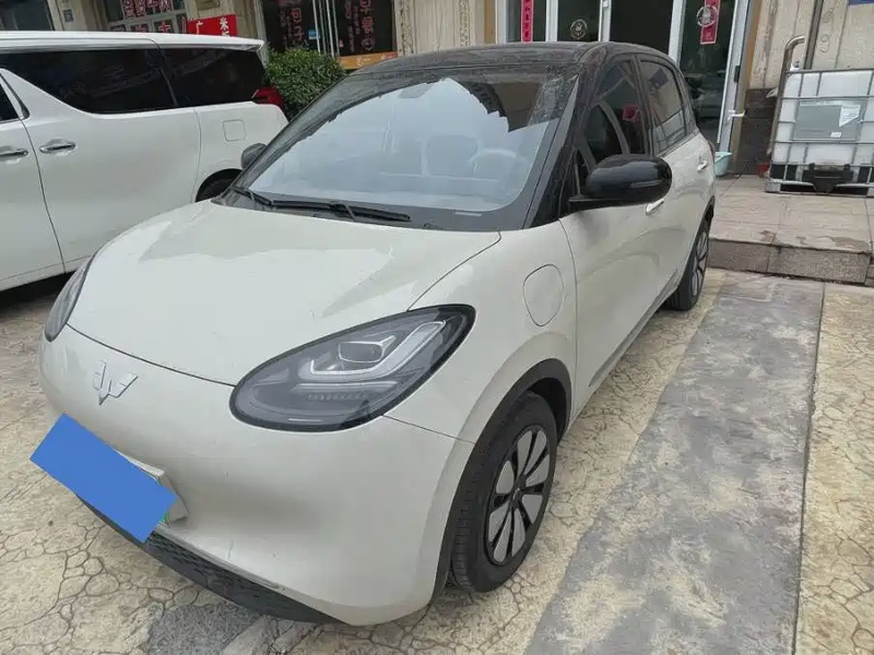 Wuling Bingo