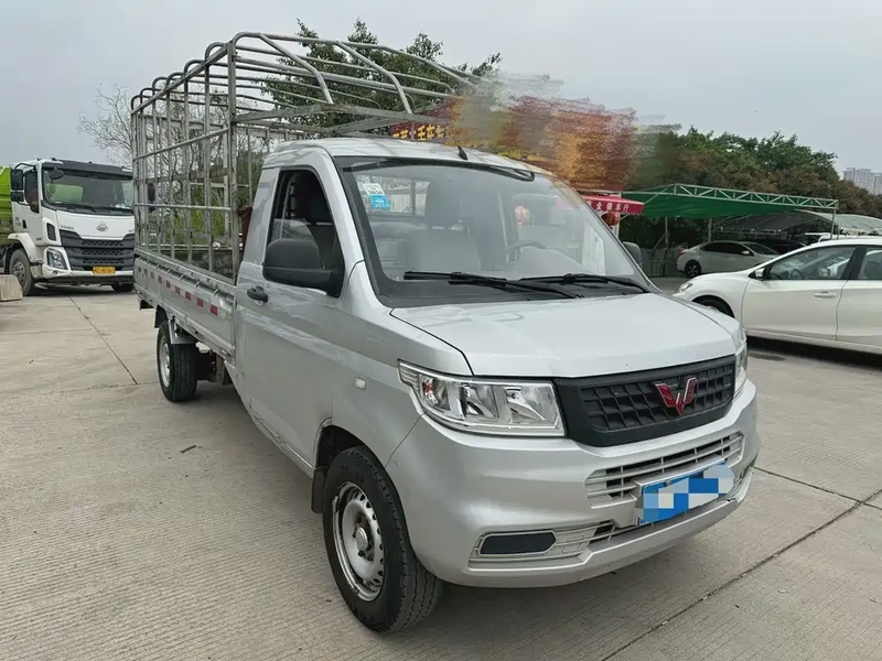Wuling New Truck