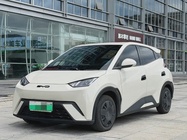 BYD Seagull 2024