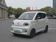 Wuling Mini 2024