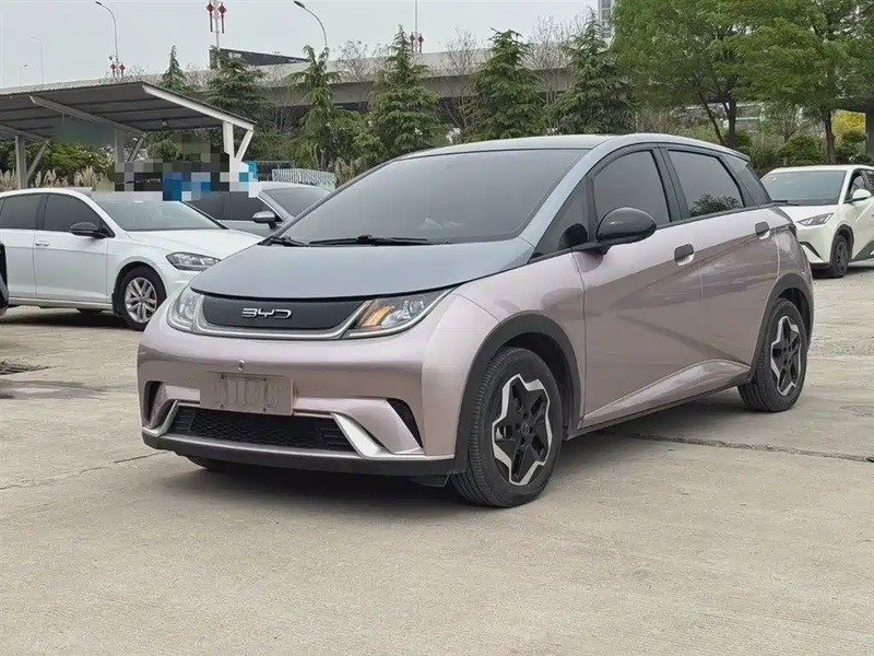 BYD Dolphin