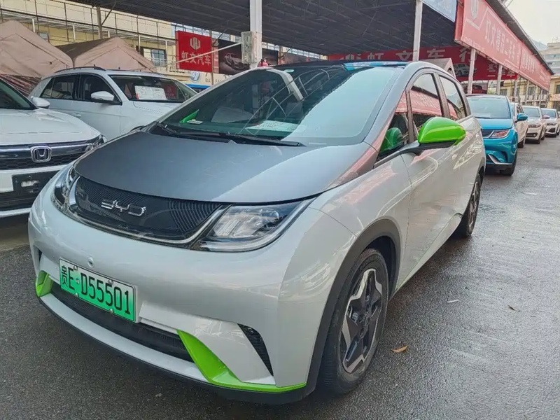 BYD Dolphin