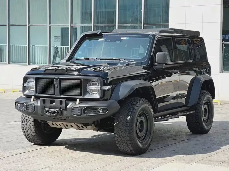 Tank 300