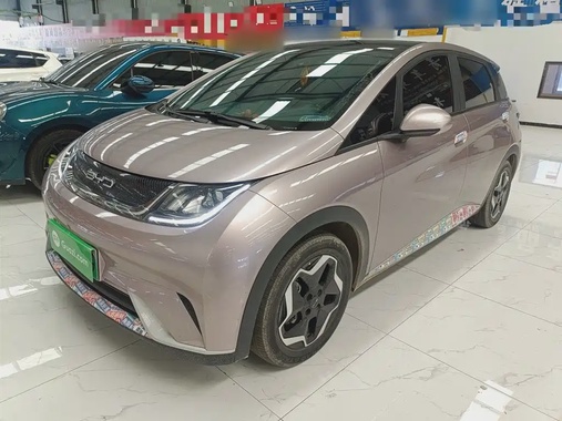 BYD Dolphin 2022