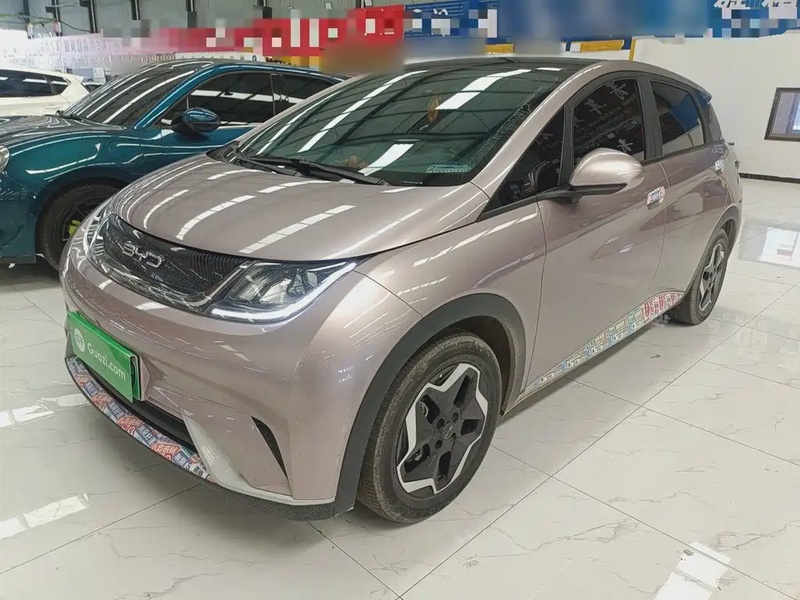 BYD Dolphin