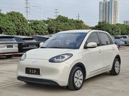 Wuling Bingo 2024