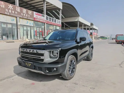 Haval Big Dog 2024