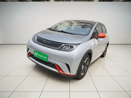 BYD Dolphin 2022