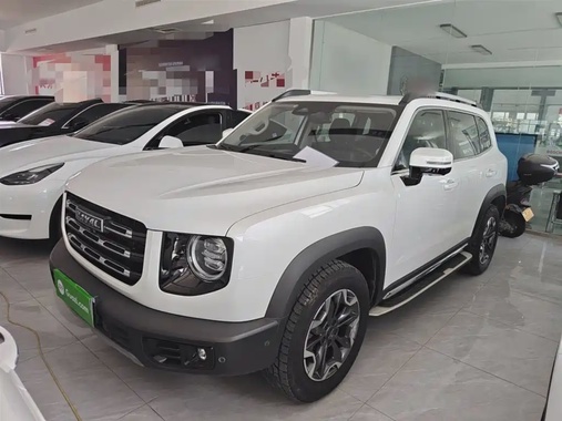 Haval Big Dog 2021