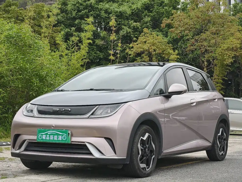 BYD Dolphin
