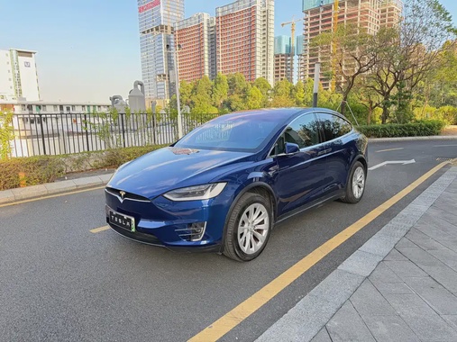 Tesla Model X 2019