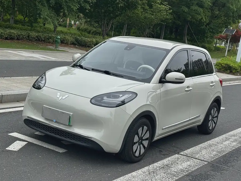 Wuling Bingo