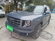 Haval Big Dog 2021