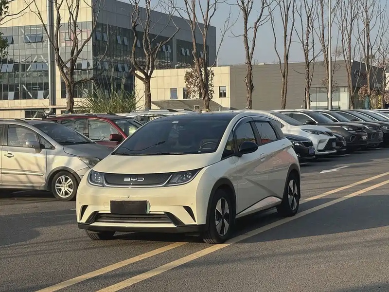 BYD Dolphin