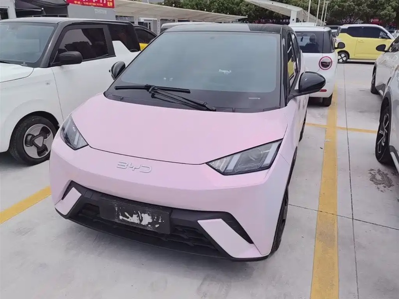 BYD Seagull