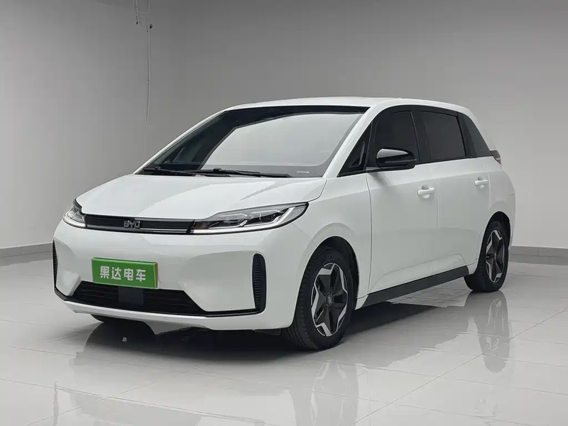 BYD D1