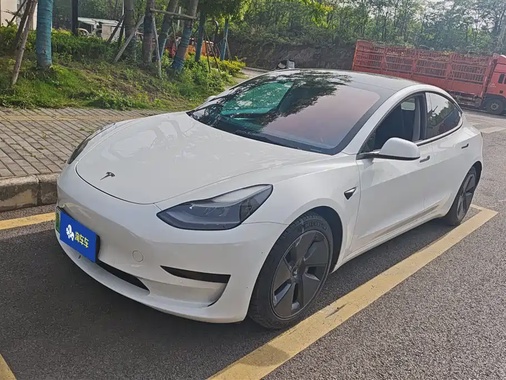 Tesla Model 3 2021