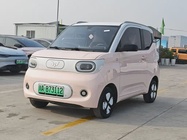 Wuling Mini 2024