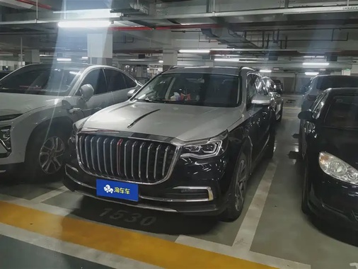 Hongqi HS7 2021