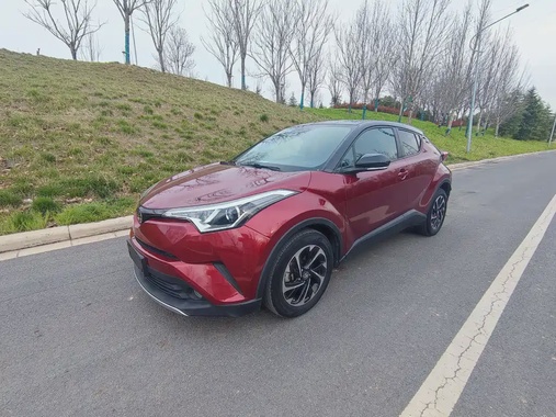 Toyota IZOA 2019