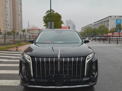 Hongqi HS7 2024