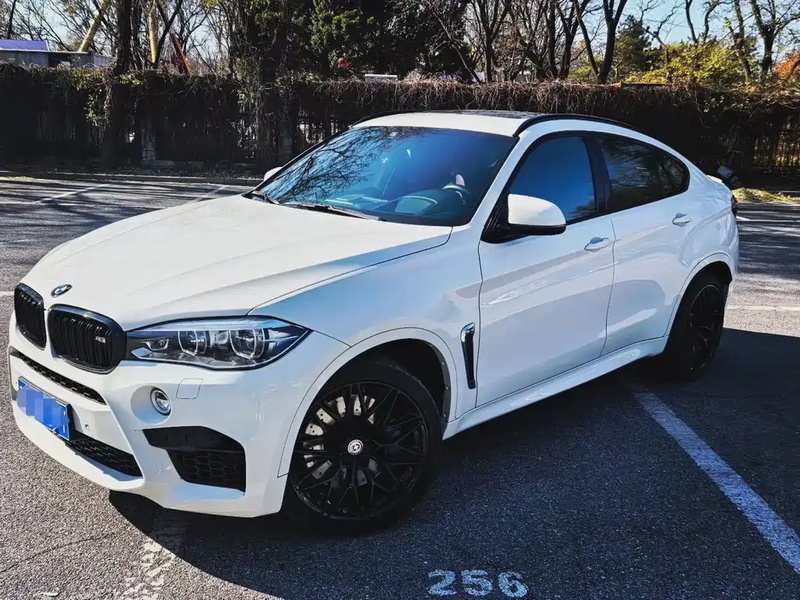 BMW X6M