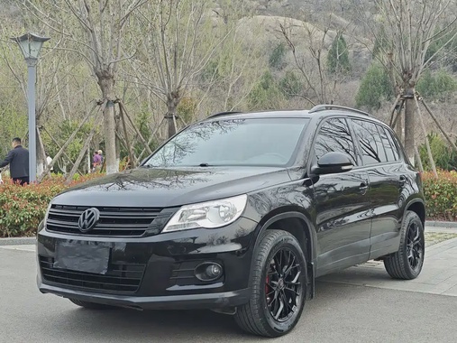 Volkswagen Tiguan 2010