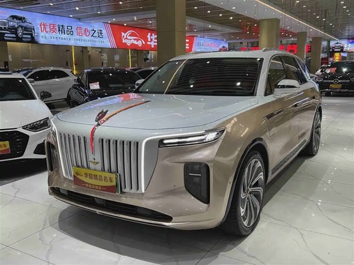 Hongqi E-HS9 2021