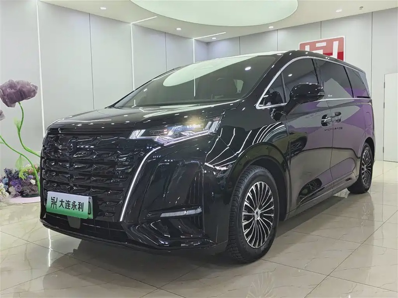 Denza D9