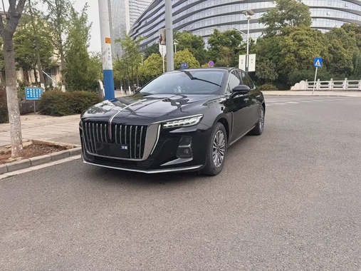 Hongqi H5 2023