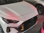 GAC Shadow Leopard 2024