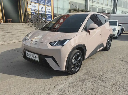 BYD Seagull 2024