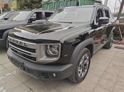 Haval Big Dog 2024