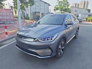 BYD PLUS 2021