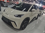 BYD Seagull 2024