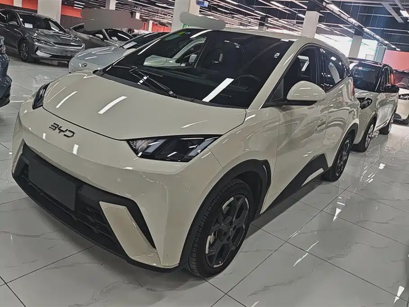 BYD Seagull