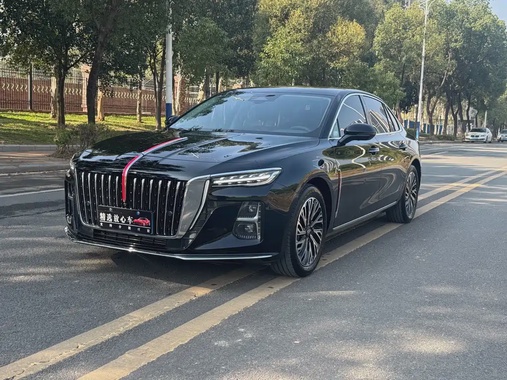 Hongqi H5 2024