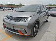 BYD Dolphin 2022