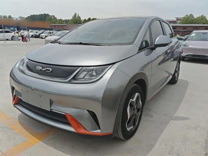 BYD Dolphin