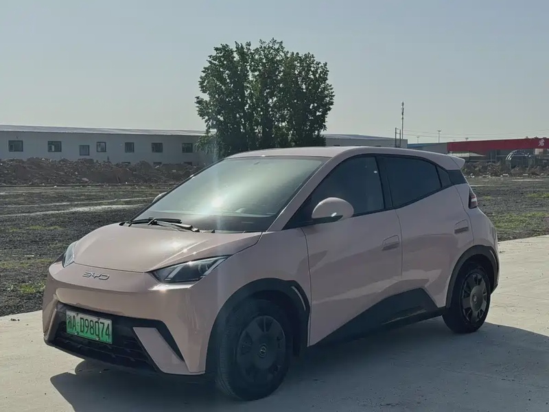 BYD Seagull